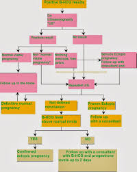 Hcg Levels During Pregnancy Ectopic Pregnancy And In