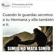 Pin de gorby * en Humor | Simio no mata simio, Unas mate, Simio