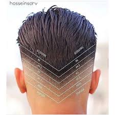 Modern clipper cuts seldom incorporate tapers, but any short cut can include them. Your Complete Barbering Guide To Clean Fades Behindthechair Com