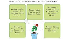 Check spelling or type a new query. Kunci Jawaban Tema 1 Kelas 6 Halaman 40 Yaitu 6 Manfaat Tumbuhan Bagi Makhluk Hidup Portal Purwokerto