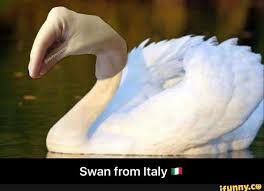 Pin By Moon On Inside Jokes Italian Memes Italian Joke Funny Relatable Memes