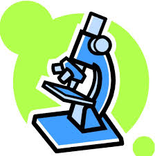 Pin On Quilt Patterns Microscopy is the science of investigating small objects and structures using such an instrument. pin on quilt patterns