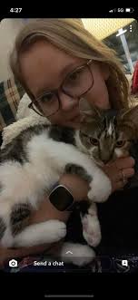 Missing pet in Martinsburg area