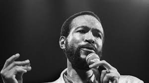 ShulmanSays.com » Everybody Loves SUNNY's Sunshine Bouquet; Pt. 2