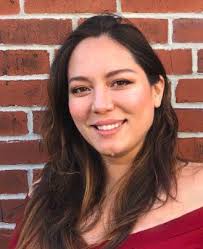 Introducing the Project