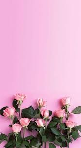 Flowers Wallpaper Iphone Tumblr Pink Roses 37 New Ideas Pink Wallpaper Iphone Flower Wallpaper Flower Backgrounds