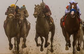 Preakness 2018 Finish Order Reactions On Every Contender