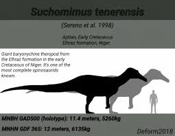 Image result for Suchomimus