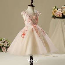Gerade eine füllige körpermitte kann so ideal kaschiert werden. Schone Saal Kleider Fur Hochzeit 2017 Madchenkleider Rosa A Linie Knielang Rundhalsausschnitt Armellos Mit Spitze Blumen