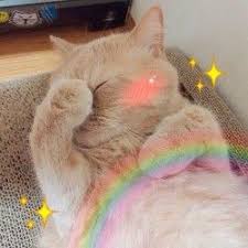 Cats Icons Pesquisa Google Sevimli Kedi Yavrulari Cute Kittens Sevimli Kediler