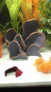 Diy Aquarium Decor Diy Aquarium Decor Diy Aquarium Diy Fish Tank