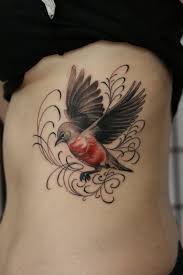 Robin Bird Tattoo Robin Bird Tattoos And Tattoo Pictures Pictures Robin Tattoo Robin Bird Tattoos Tattoos