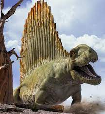 Check spelling or type a new query. Dimetrodon Walking With Wikis Fandom