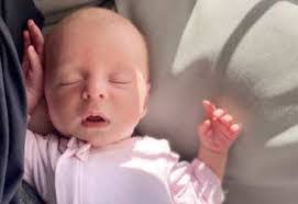 Freda Hahn's Instagram, Twitter & Facebook