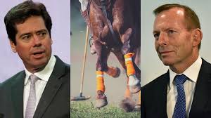He was appointed chief executive officer of the australian football league (afl) on 30 april 2014, succeeding andrew demetriou. Polo Players Au Pairs Get High Level Liberal Party Access