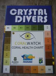 Coral Watch Project Aware