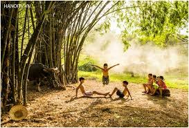 Káº¿t quáº£ hÃ¬nh áº£nh cho hinh anh luy tre lang