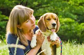 Diabetes In Dogs Symptoms Causes Diagnosis Treatment
