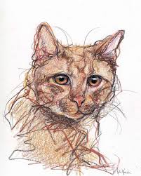 How About A Cat Tormund Pencil Colored Pencil And Ink Cat Artwork Cat Art Cat Painting