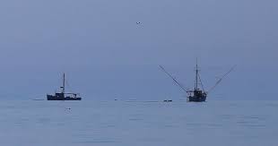 Trollers And Gillnetters Alaska Floats My Boat Alaska Boat Southeast
