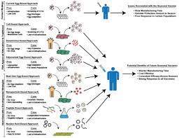 Vaccines Free Full Text Efforts To Improve The Seasonal Influenza Vaccine Html