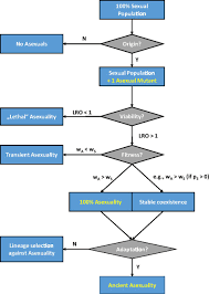 Sexual reproduction is a type of reproduction that involves a complex life cycle in which a gamete (such as a sperm or egg cell) with a single set of chromosomes (haploid) combines with another to produce an organism composed of cells with two sets of chromosomes (diploid). Does The Avoidance Of Sexual Costs Increase Fitness In Asexual Invaders Pnas