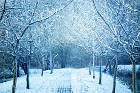 Über 300 rubriken mit gratis bildern, cliparts, illustrationen, vorlagen Bilder Winter Hintergrund Gratis Vektoren Fotos Und Psds