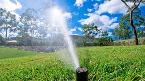 Selbstversorger garten » pflanzenschutz » schädlinge » katzen im garten endgültig vertreiben. á… Ungebetene Gaste Katzen Auf Sanfte Weise Aus Dem Garten Vertreiben