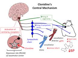 Image result for Clonidine