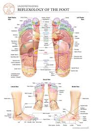 New Mexico Association Of Reflexologists Foot Reflexology