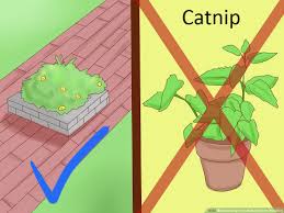 It was fairly easy, didn't cost much, and kept the cats in the yard. 3 Ways To Keep Your Male Cat From Roaming Wikihow