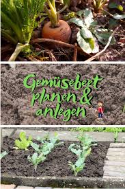 Gemusebeet Planen Gemusebeet Garten Bepflanzen Permakultur