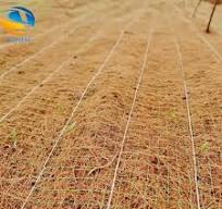 Greening Slope Revetment, Soil Stabilization, Coconut Silk Coconut Shell  Blanket, Anti Erosion Soil Stabilization, Plant Fiber Coconut Silk Blanket