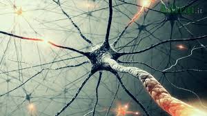 Dal primo sintomo alla diagnosi. Sclerosi Multipla Quali Sono Le Cure Le Cause E Come Riconoscerla