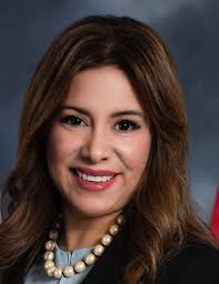 Election 2022: The race for San Jose City Council District 5