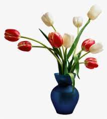 Vase white plum flower png transparent clipart image and. Flower Vase Png Images Free Transparent Flower Vase Download Kindpng