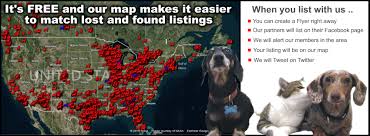 Maybe you would like to learn more about one of these? Lost Dogs Massachusetts Home Facebook
