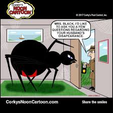 4k00:30black widow spider crawling up stick to ita prey wrapped in web as it gets ready to move them. What Dream About Black Spider Means