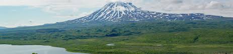 We did not find results for: Ugashik Alaska Peninsula Corporation