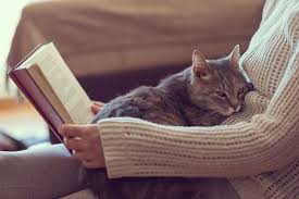 No, but there_____ lots of other animals i like. How Long After Your Cat Dies Should You Wait Before Getting A New Cat Catster