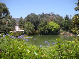 Image result for srf lake shrine
