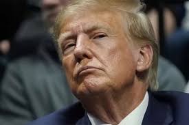 The saga of Donald Trump Jr Down Under