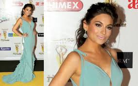 Arenas once again worked with nathalie lartilleux in the 2014 telenovela la gata with maite. Premios Tvynovelas 2014 Red Carpet Fashion Photos Best And Worst Dressed Of The Biggest Telenovela Night Of The Year