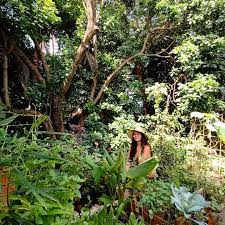 O livro virtual Frutas do...