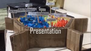 ∆ card board/karton ∆ capsul packaging ∆ colored paper ∆ colored stone ∆ clothe ∆ glue/stick glue ∆ stick. 3d Plant Cell Model From Recyclable Materials Youtube