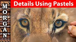 Drawing Details With Pastel Pencils Jason Morgan Wildlife Art Youtube Pastel pencil zebra stripes, jason morgan wildlife artist.