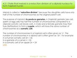 The n number of an organism (in particular a cell) represents a haploid count of chromosomes. Topic 4 Genetics 4 2 Meiosis Ib Biology Sfp Mark Polko Ppt Download