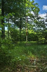 Maybe you would like to learn more about one of these? Seznam Vrcholu V Drahanske Vrchovine Wikipedie