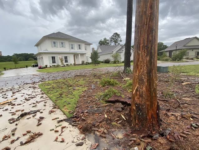 Caring for Lightning-Struck Trees - Alabama Cooperative Extension System