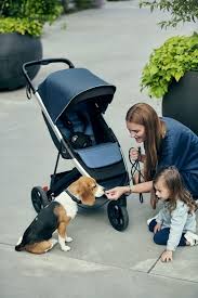 Der Neue Jogger Von Thule Spring In 2020 Unterwegs